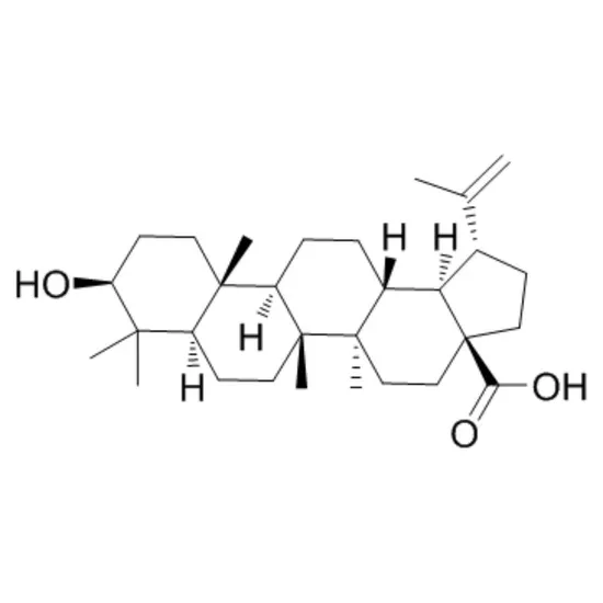Betulinic Acid 99% Purity CAS 472-15-1 for Chemical Applications 25kg Pack