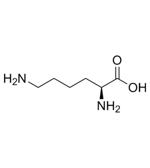 L-Lysine CAS 56-87-1 99% Purity Essential Amino Acid for Pharmaceutical Use