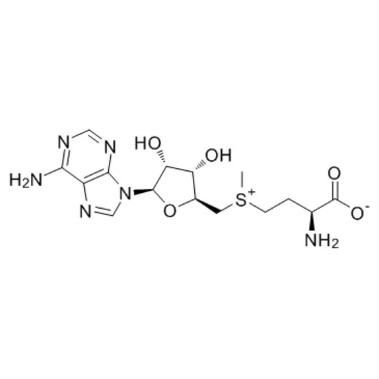 Ademetionine CAS 29908-03-0 99% Purity Solid for Pharmaceutical Applications
