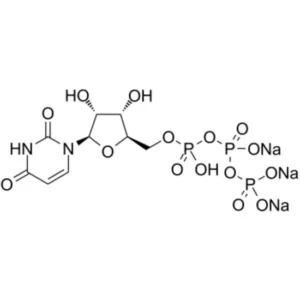 Uridine-5'-Triphosphoric Acid Trisodium Salt 99% Purity CAS 19817-92-6 for Chemical Applications