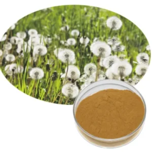 Dandelion Extract 99% Purity CAS 84775-55-3 ISO Certified for Chemical Applications