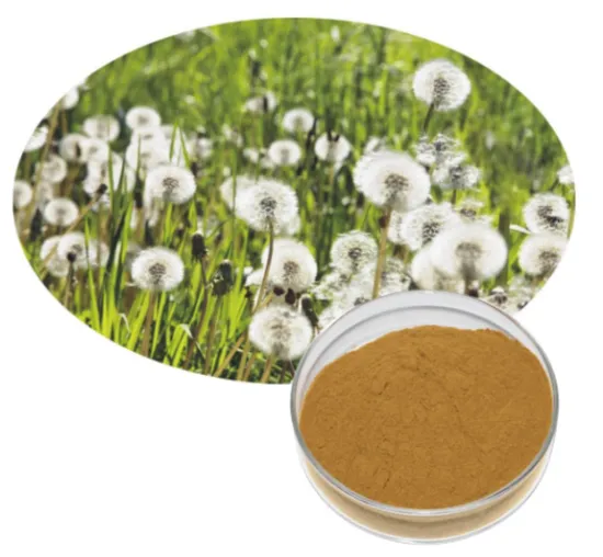 Dandelion Extract 99% Purity CAS 84775-55-3 ISO Certified for Chemical Applications